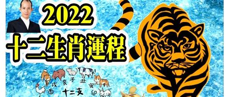 蘇民峰2024|香港风水师苏民峰详解2024龙年12生肖运势（完整版）